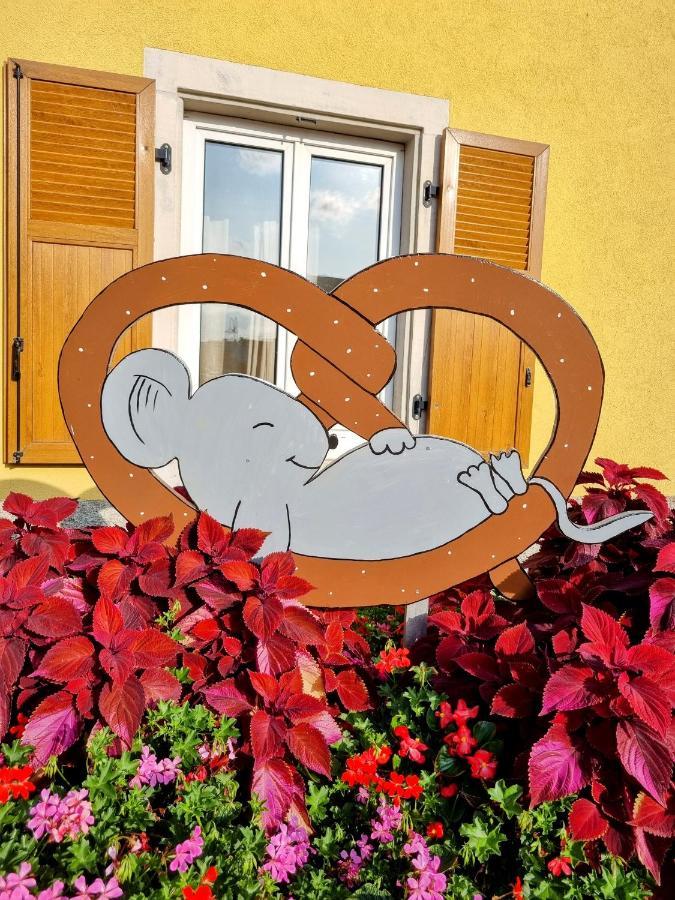 Cosy Bretzel Appartement Gresswiller Buitenkant foto